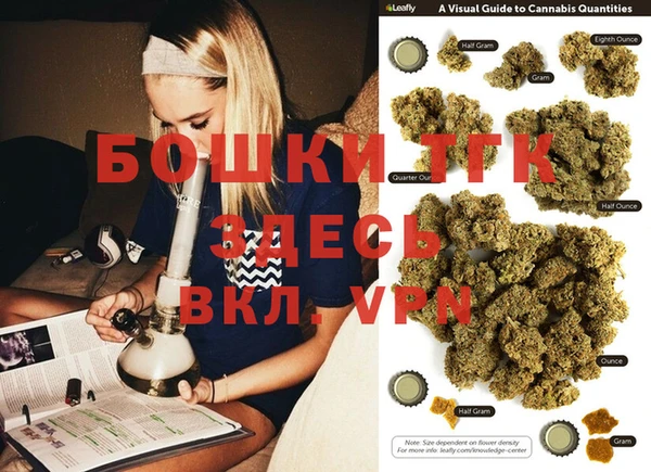гидропоника Абаза