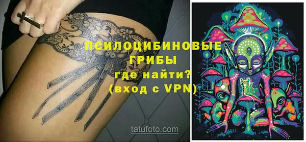 тгк Россошь