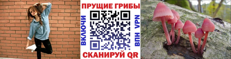 Псилоцибиновые грибы Magic Shrooms  Тутаев 