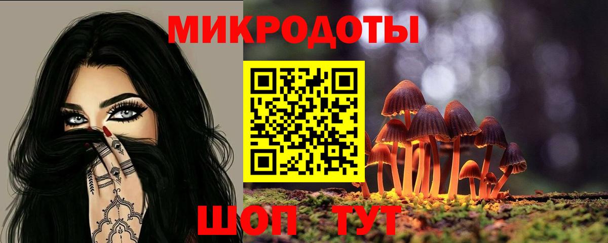 Тутаев  Псилоцибиновые грибы Psilocybine cubensis  Вход с VPN 